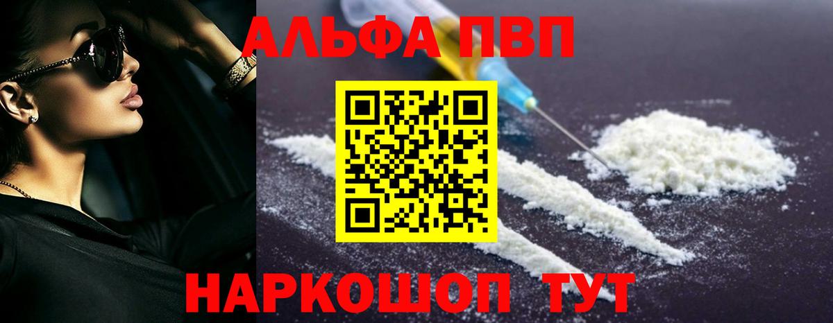 Alfa_PVP СК КРИС Курчалой