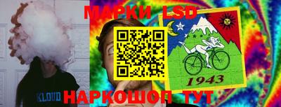 крисы Ирбит