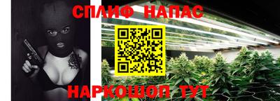 крисы Ирбит