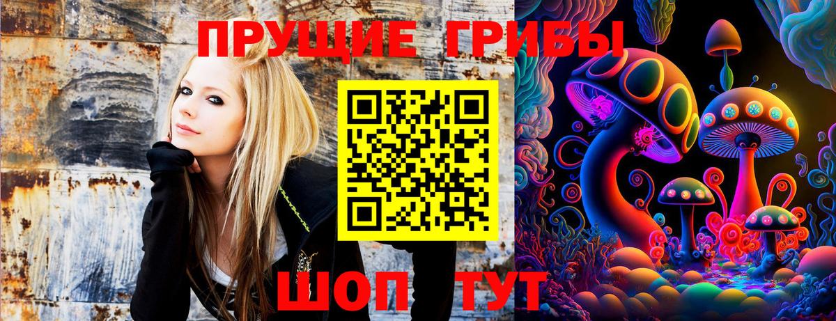 Псилоцибиновые грибы GOLDEN TEACHER  Псилоцибиновые грибы Magic Shrooms  Вход с VPN  Курчалой 